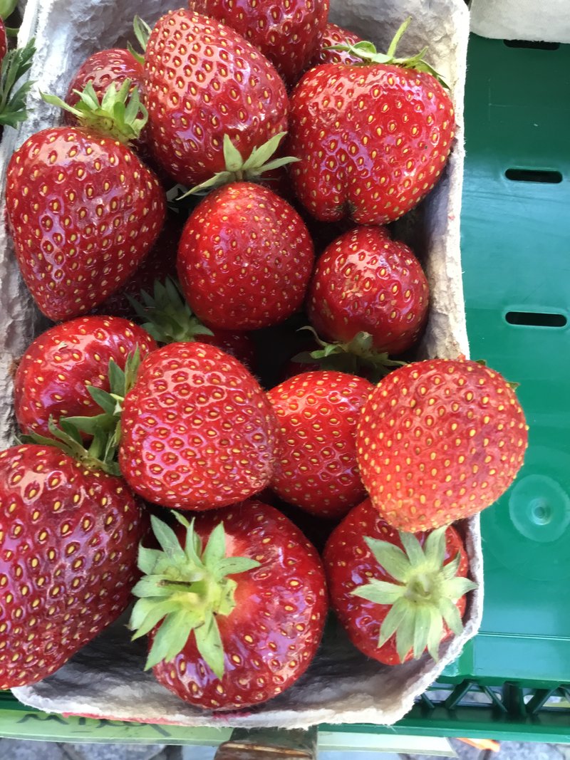 Erdbeeren